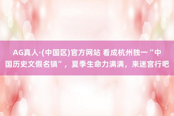 AG真人·(中国区)官方网站 看成杭州独一“中国历史文假名镇”,夏季生命力满满,来迷宫行吧