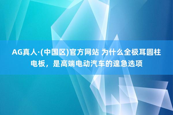 AG真人·(中国区)官方网站 为什么全极耳圆柱电板,是高端电动汽车的遑急选项