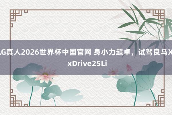 AG真人2026世界杯中国官网 身小力超卓,试驾良马X1 xDrive25Li