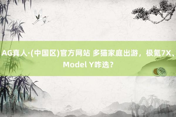 AG真人·(中国区)官方网站 多猫家庭出游,极氪7X、Model Y咋选?