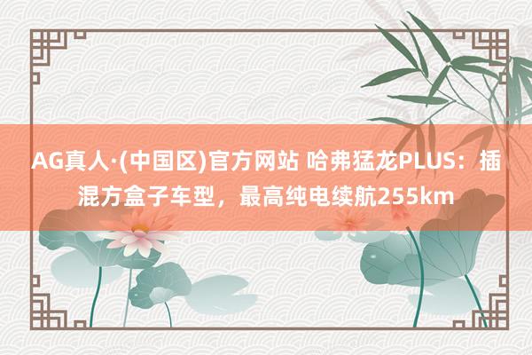AG真人·(中国区)官方网站 哈弗猛龙PLUS:插混方盒子车型,最高纯电续航255km