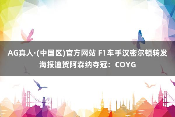 AG真人·(中国区)官方网站 F1车手汉密尔顿转发海报道贺阿森纳夺冠:COYG