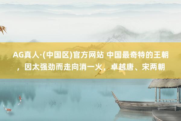 AG真人·(中国区)官方网站 中国最奇特的王朝,因太强劲而走向消一火,卓越唐、宋两朝