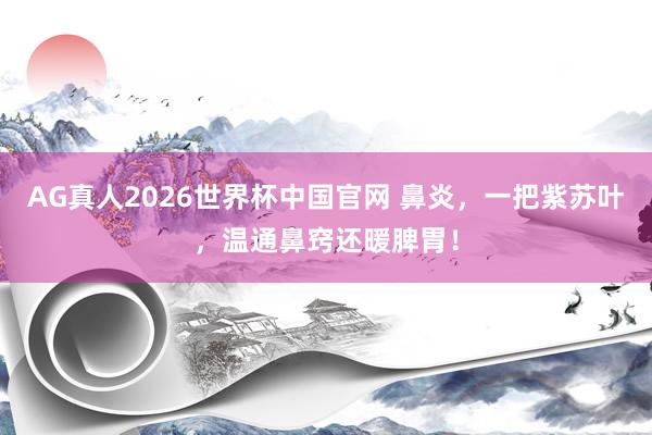 AG真人2026世界杯中国官网 鼻炎,一把紫苏叶,温通鼻窍还暖脾胃!