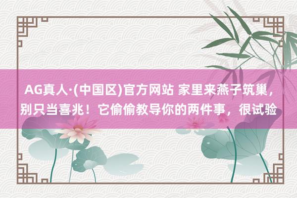 AG真人·(中国区)官方网站 家里来燕子筑巢,别只当喜兆!它偷偷教导你的两件事,很试验