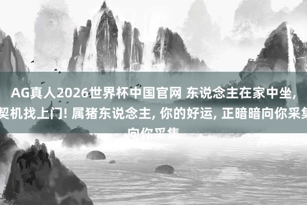 AG真人2026世界杯中国官网 东说念主在家中坐, 契机找上门! 属猪东说念主, 你的好运, 正暗暗向你采集