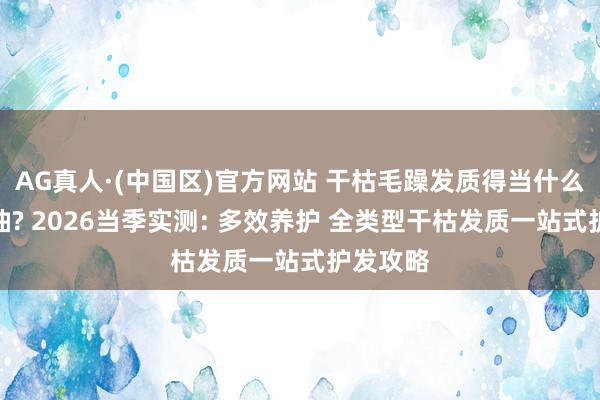 AG真人·(中国区)官方网站 干枯毛躁发质得当什么护发精油? 2026当季实测: 多效养护 全类型干枯发质一站式护发攻略