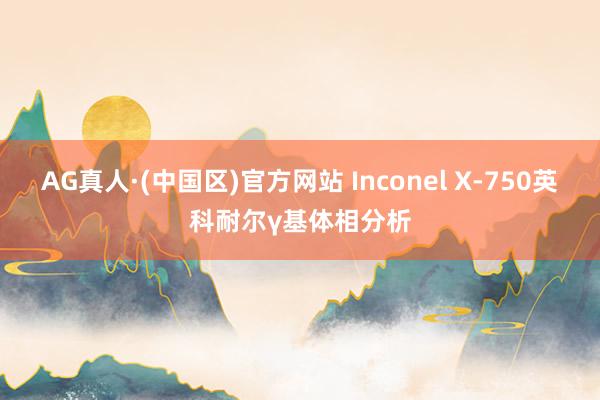 AG真人·(中国区)官方网站 Inconel X-750英科耐尔γ基体相分析