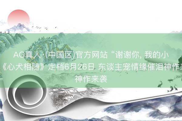 AG真人·(中国区)官方网站 “谢谢你, 我的小狗”《心犬相随》定档6月26日 东谈主宠情缘催泪神作来袭