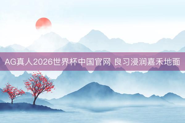 AG真人2026世界杯中国官网 良习浸润嘉禾地面